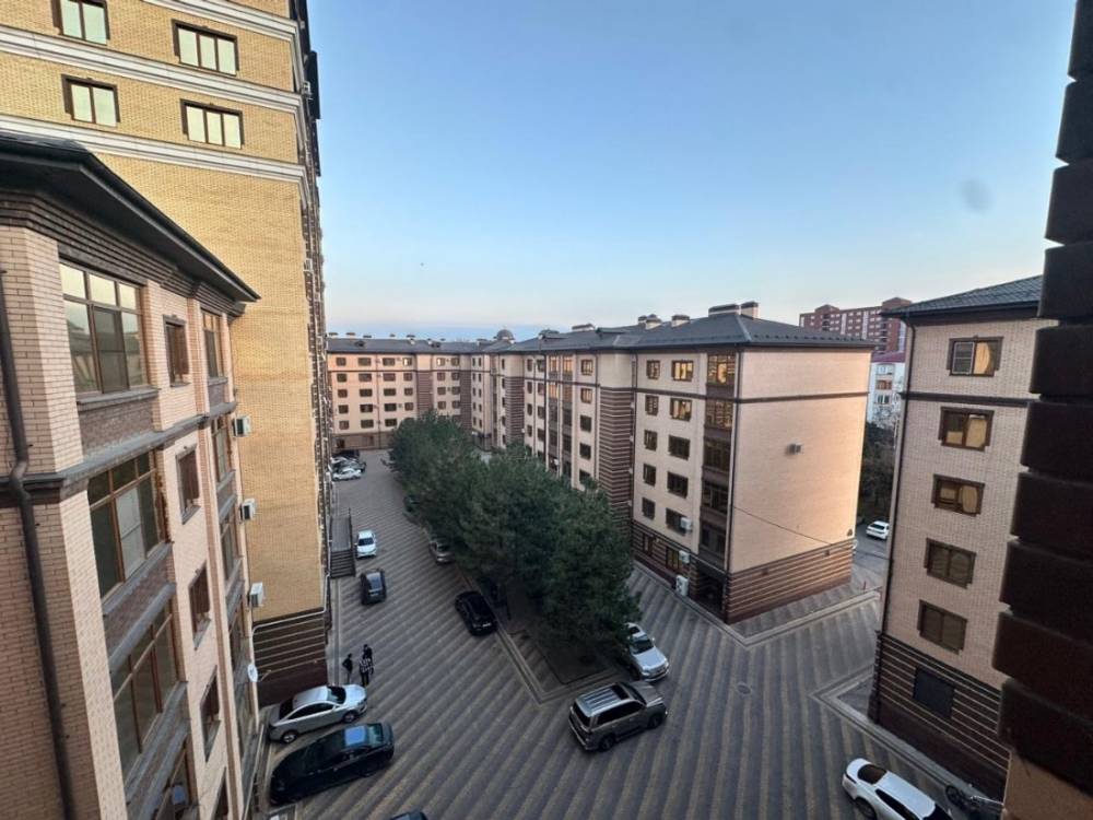 58896c17-1468-471c-9273-4f702bad8aa0