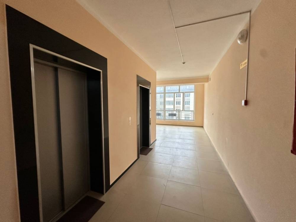 b2065e65-7a02-469f-bf2a-f6699434fa68