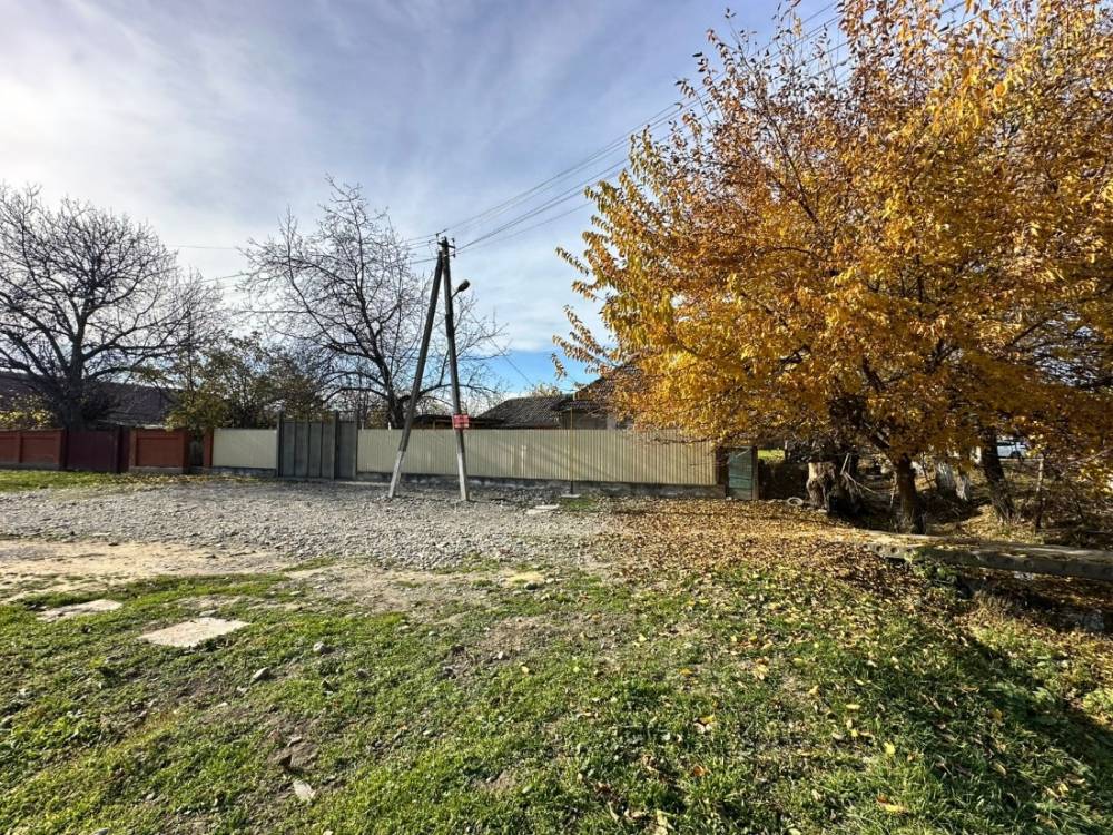 photo-2025-12-31-05-02-07 3