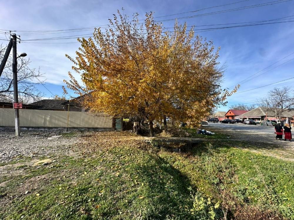 photo-2025-12-31-05-02-07