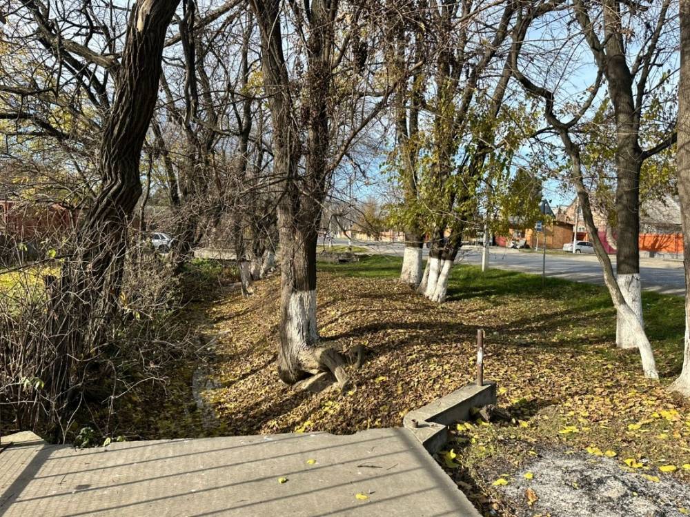 photo-2025-12-31-05-02-03 2