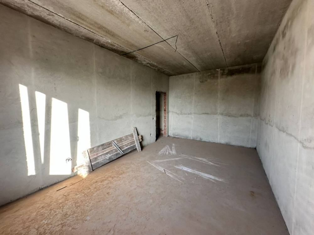 photo-2026-01-12-12-50-37