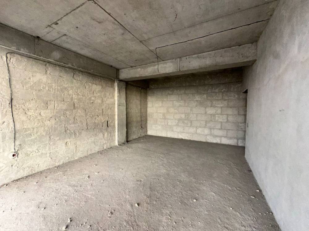 photo-2026-01-19-11-06-15 5