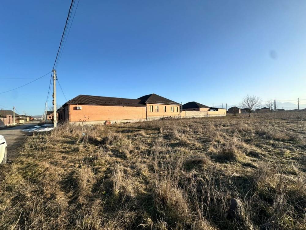 photo-2026-02-02-08-27-40