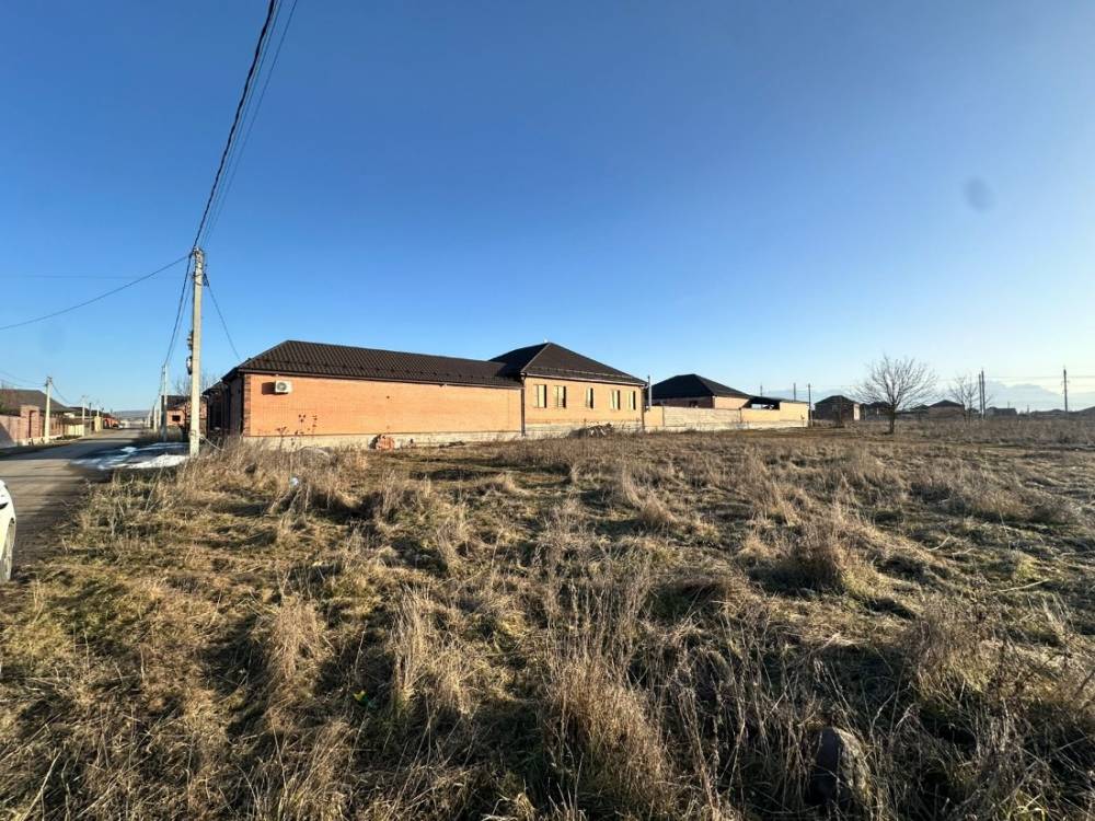 photo-2026-02-02-08-27-41