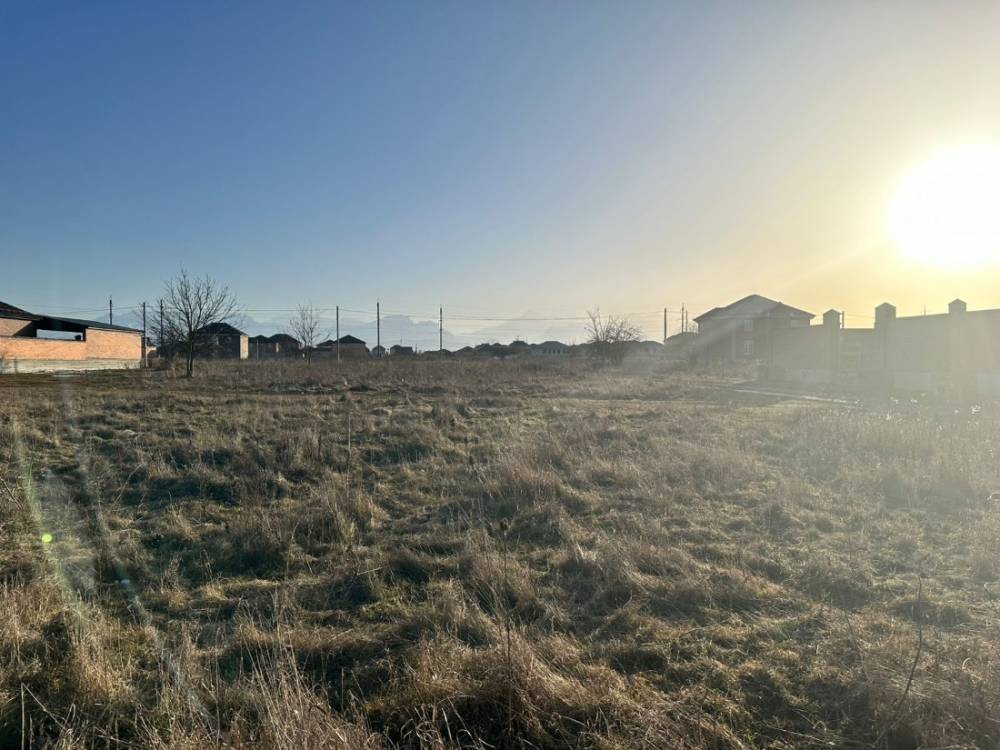 photo-2026-02-02-08-27-45 4