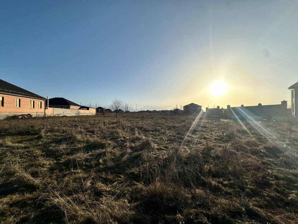 photo-2026-02-02-08-27-46 3