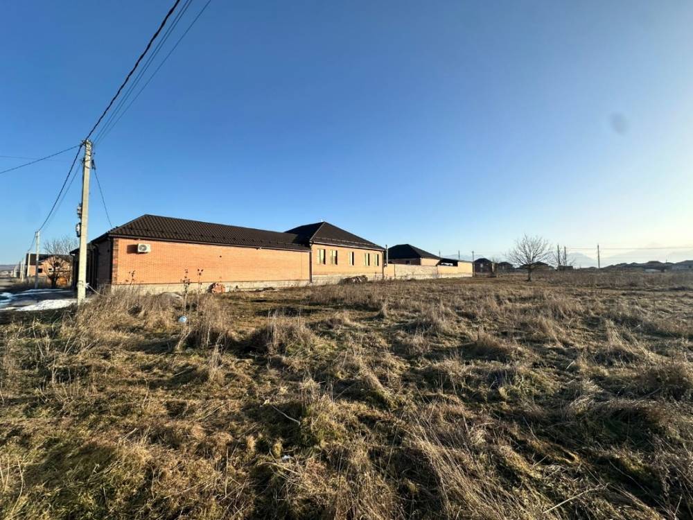 photo-2026-02-02-08-27-46 4