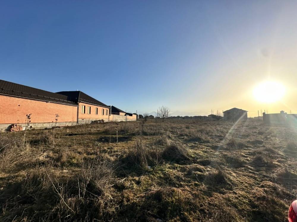 photo-2026-02-02-08-27-47 2