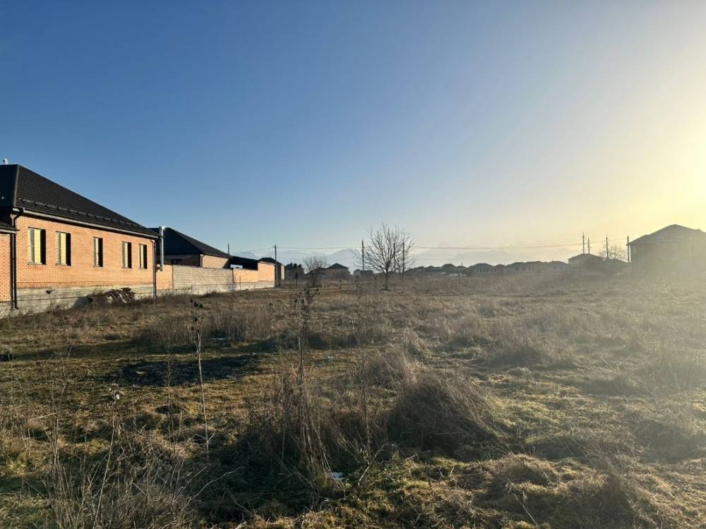 photo-2026-02-02-08-27-47 3