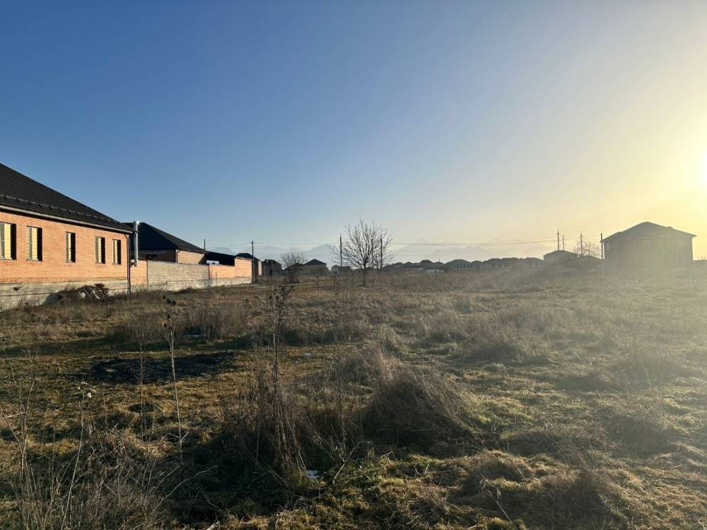 photo-2026-02-02-08-27-47 4