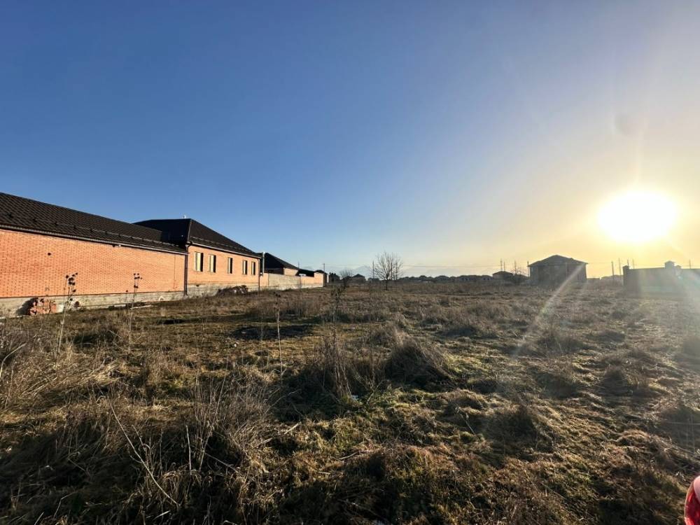 photo-2026-02-02-08-27-48 2