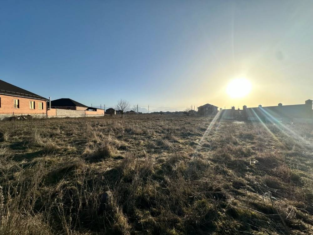 photo-2026-02-02-08-27-42