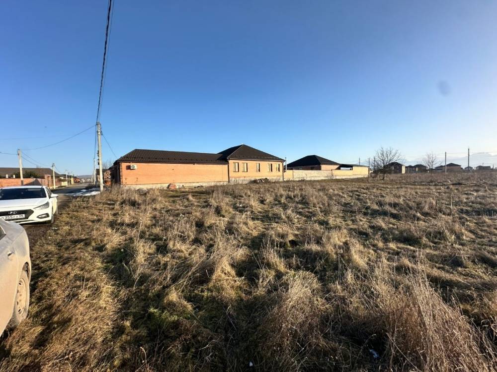 photo-2026-02-02-08-27-44 2