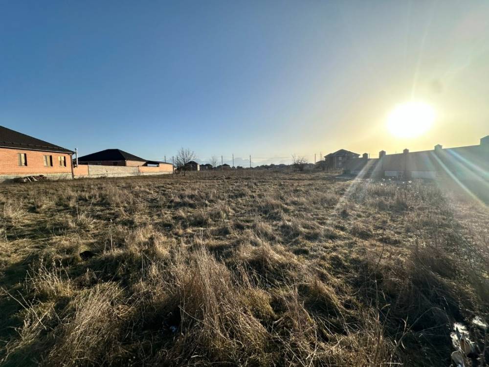 photo-2026-02-02-08-27-44 3