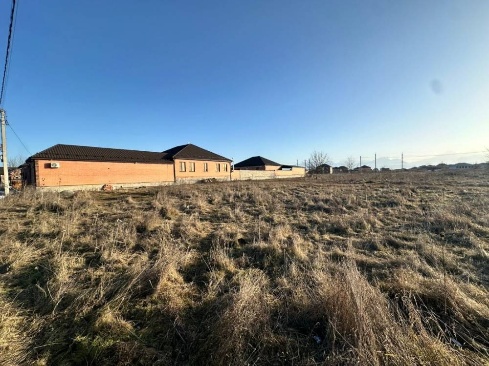 photo-2026-02-02-08-27-45 2