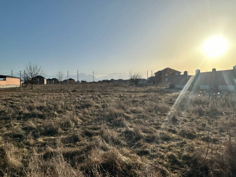 photo-2026-02-02-08-27-45 3