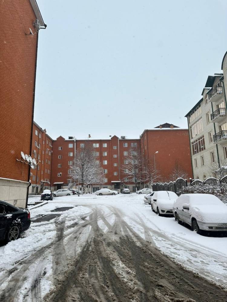 photo-2026-02-08-22-50-34 2