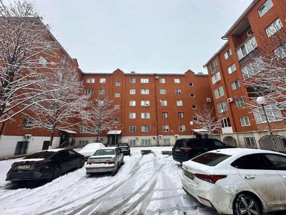 photo-2026-02-08-22-50-34 4