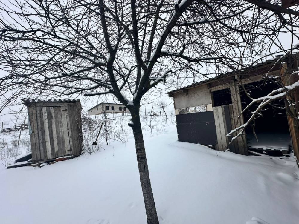 photo-2026-02-08-23-30-28 2