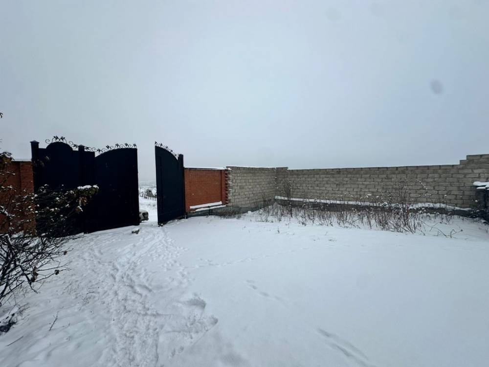 photo-2026-02-08-23-30-23 2