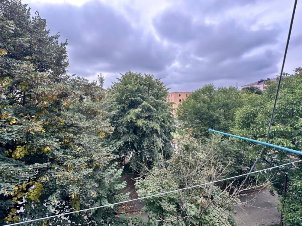 bd7e8082-eb62-4ee3-a3f0-72702abc6a31